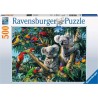 Ravensburger Puzzle 500 pièces - Koalas dans l'arbre