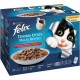 FELIX Tendres effilés Encore plus de sauce Sélection de la Campagne Pour chat adulte 12x85g