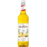 Monin Citron PET 1L