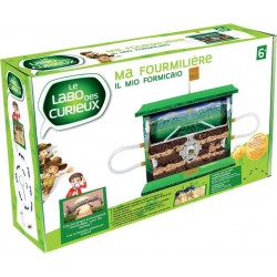 Le LAbo des Curieux MA FOURMILIERE