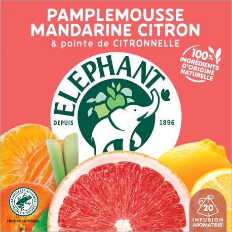 ELEPHANT 20P INFUSION PAMPLEMOUSSE MANDARINE CITRON