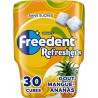 FREEDENT Chewing-gum Refresher Sans Sucres Ananas et Mangue 67g