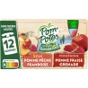 POM'POTES Compotes Pomme Pêche Framboise et Pomme Fraise Grenade 12 gourdes