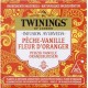 Twinings Infusion ayuverda pêche vanille fleur oranger-x20